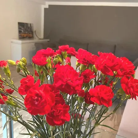 Paulhouseintur *